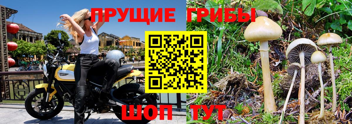 Псилоцибиновые грибы ЛСД  Галлюциногенные грибы Psilocybe  Дальнереченск  Вход с VPN 